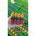 Randm Tornado 9000 Puffs Vapes boleh guna